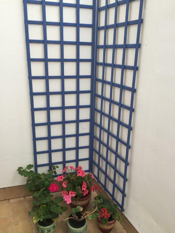 Apartamento Balneario Playa Caleta 카디스 외부 사진